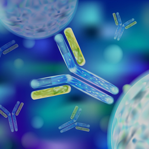 二裂酵母发酵产物溶胞物（Rejuvactor® NP）